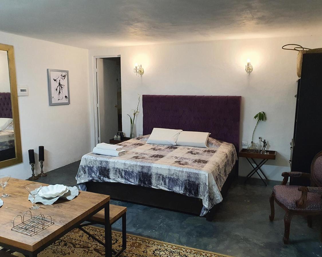 Elixir Homes טולום מראה חיצוני תמונה