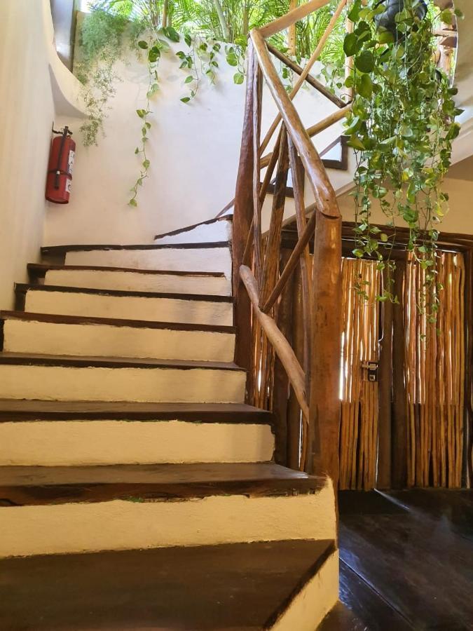 Elixir Homes טולום מראה חיצוני תמונה